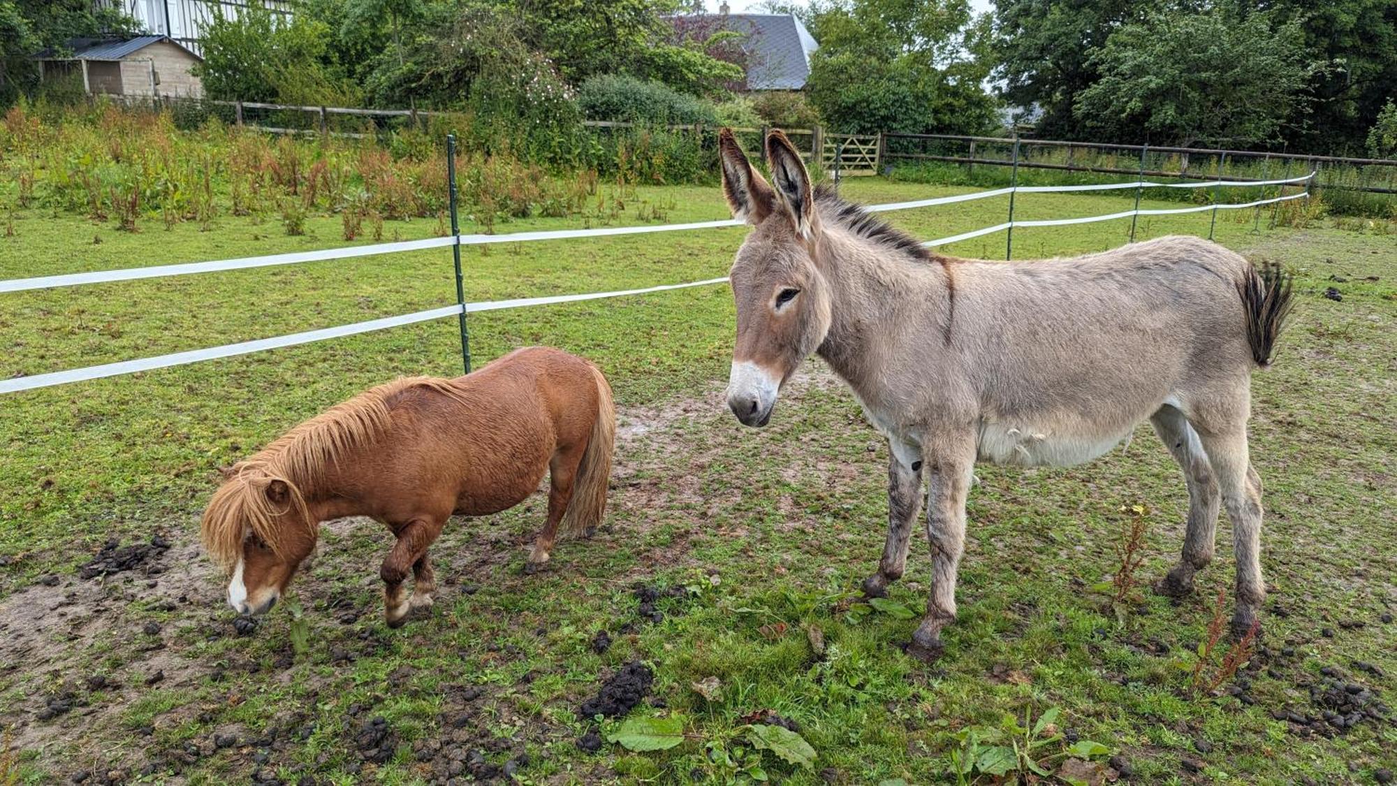 Gite Chez Loupi Epaignes Luaran gambar